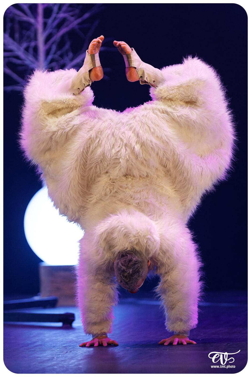 GLOB (LES FOUTOUKOURS)